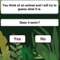 Animal Guesses by John Holman
