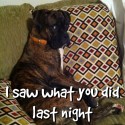 18949 AxNYnYtCMAAgAH6 125x125 DogCap Capturing Your Dogs Thoughts on Camera by Tyler Speegle